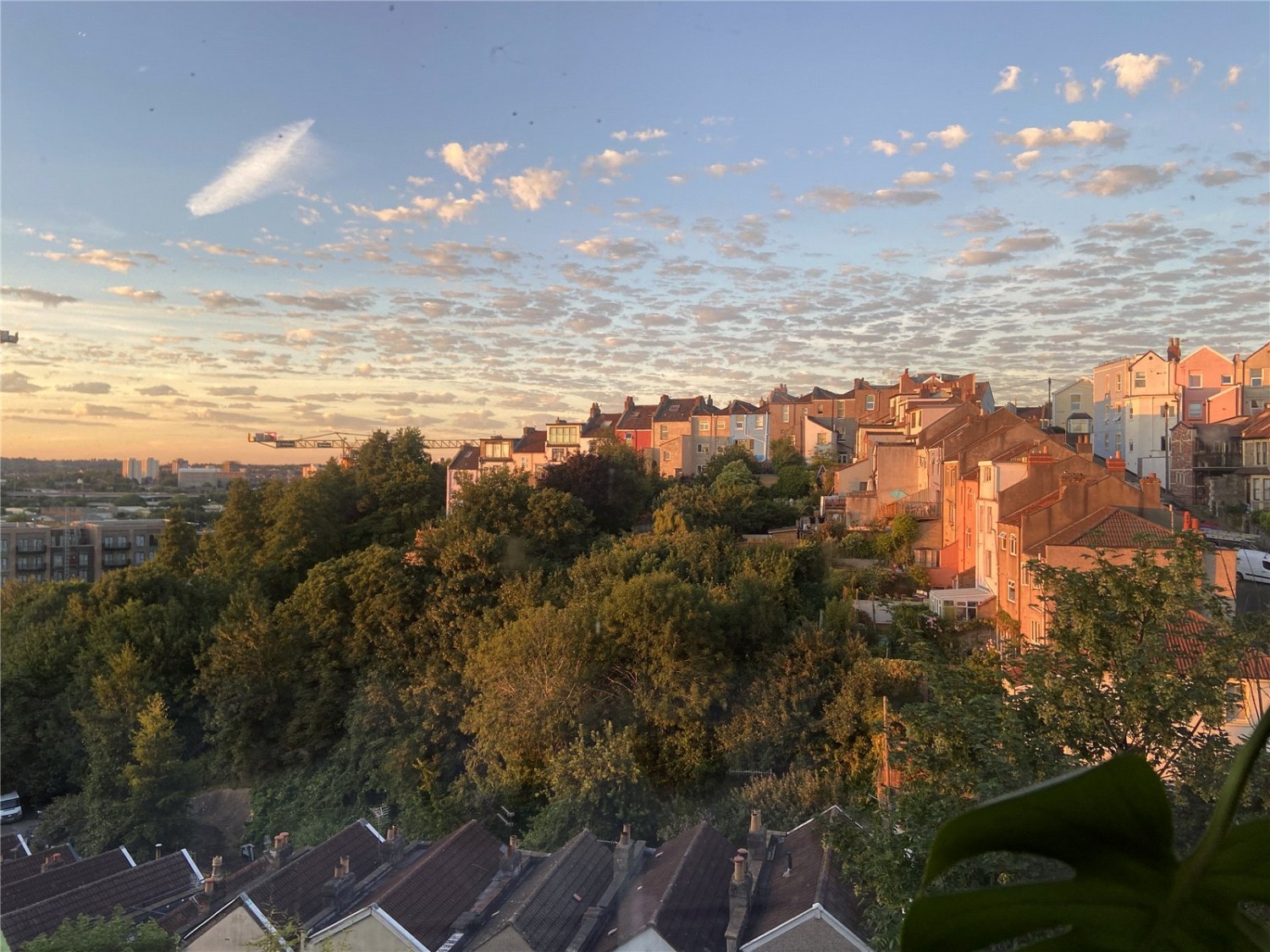 BRISTOL