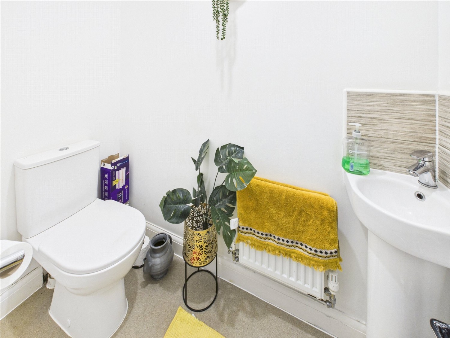 Charlton Hayes, Bristol