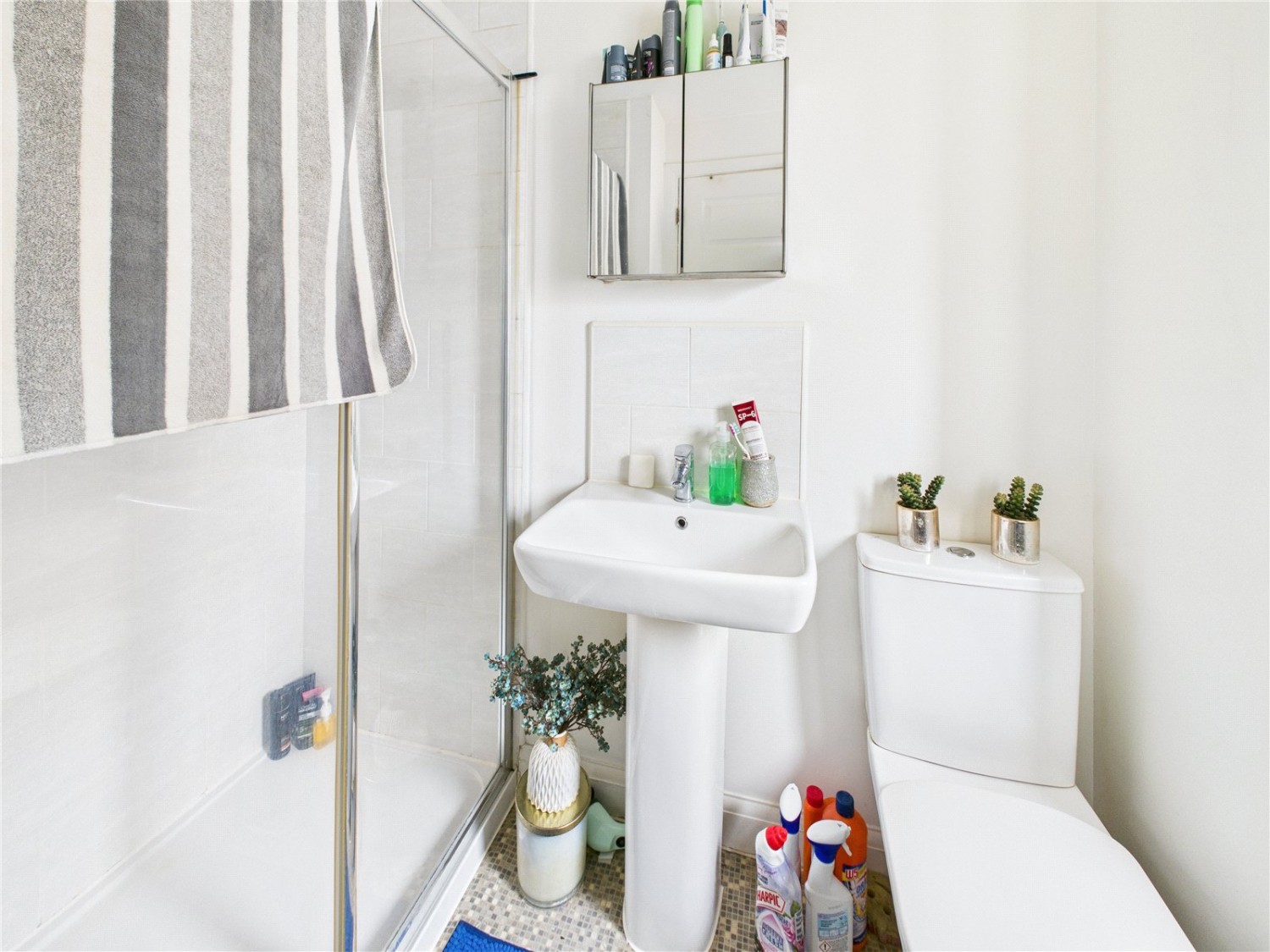 Charlton Hayes, Bristol