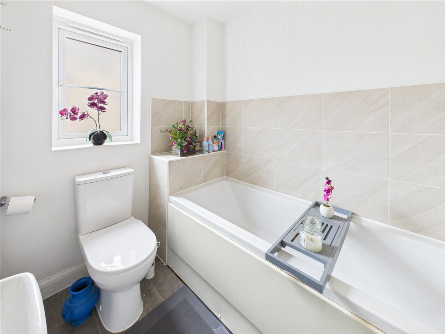 Charlton Hayes, Bristol