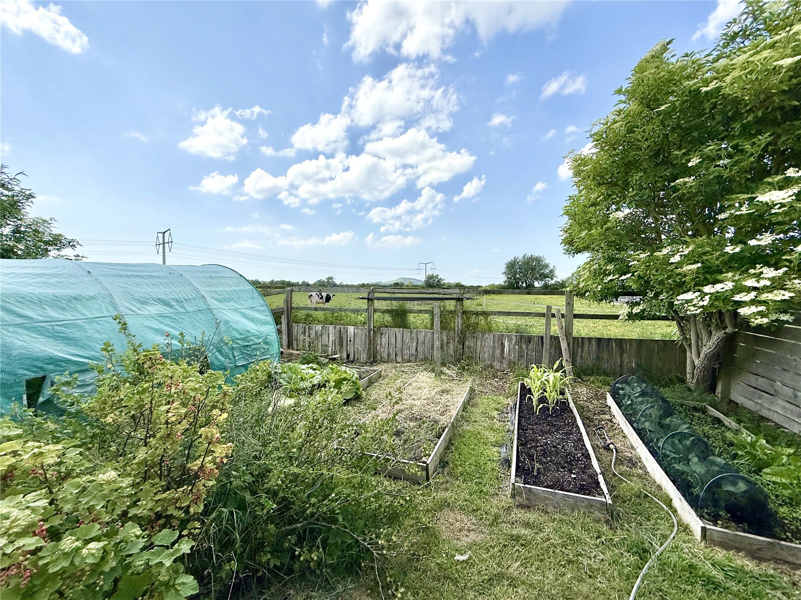 3 bedroom House for sale in Mark, Somerset