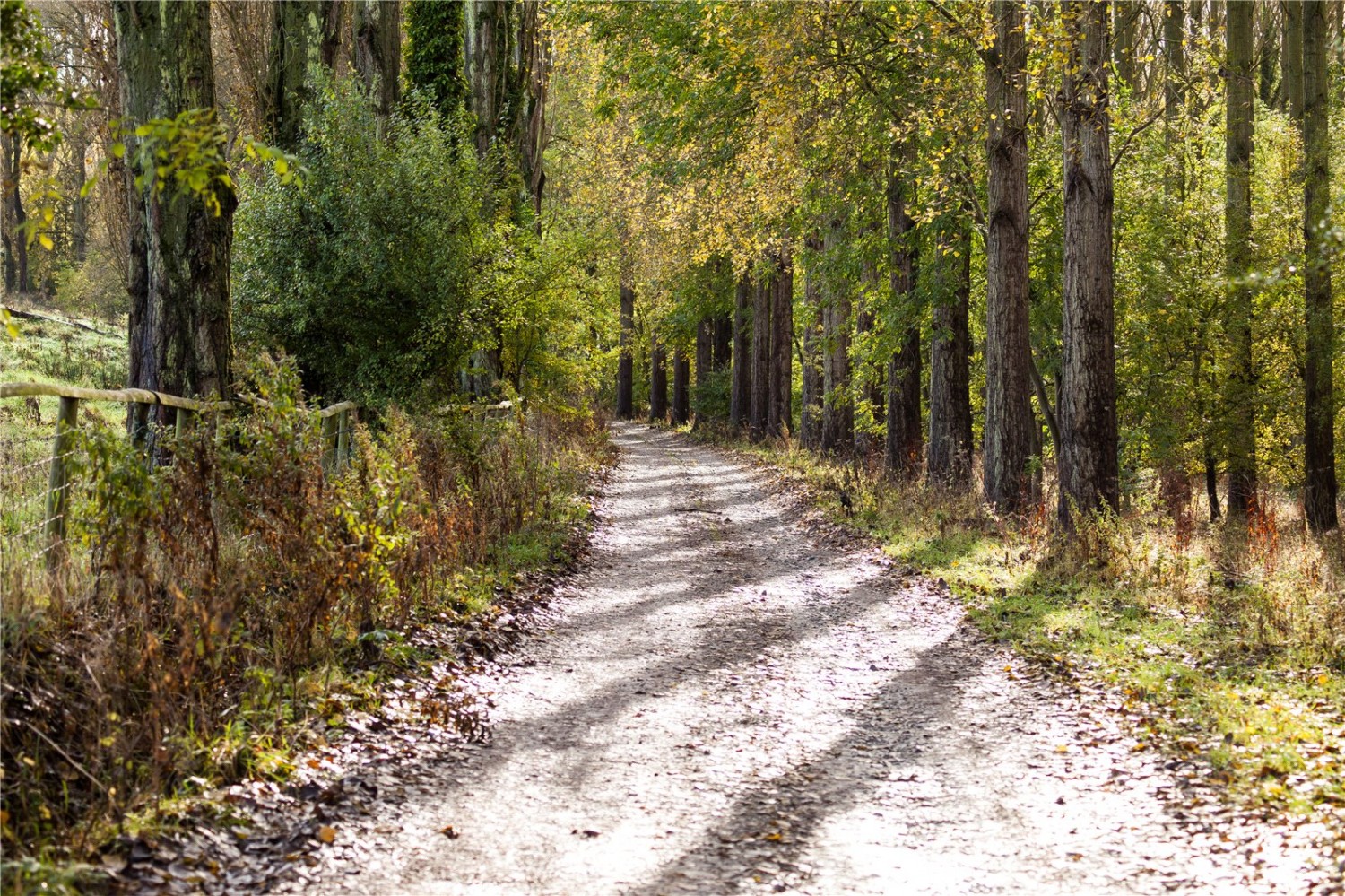 Broadway, Worcestershire