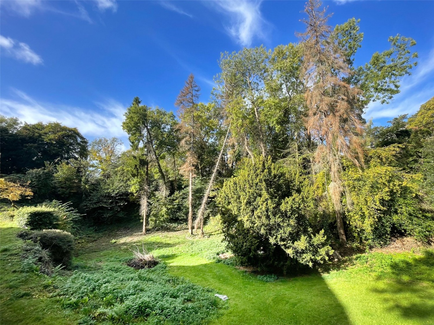 Leigh Woods, Bristol