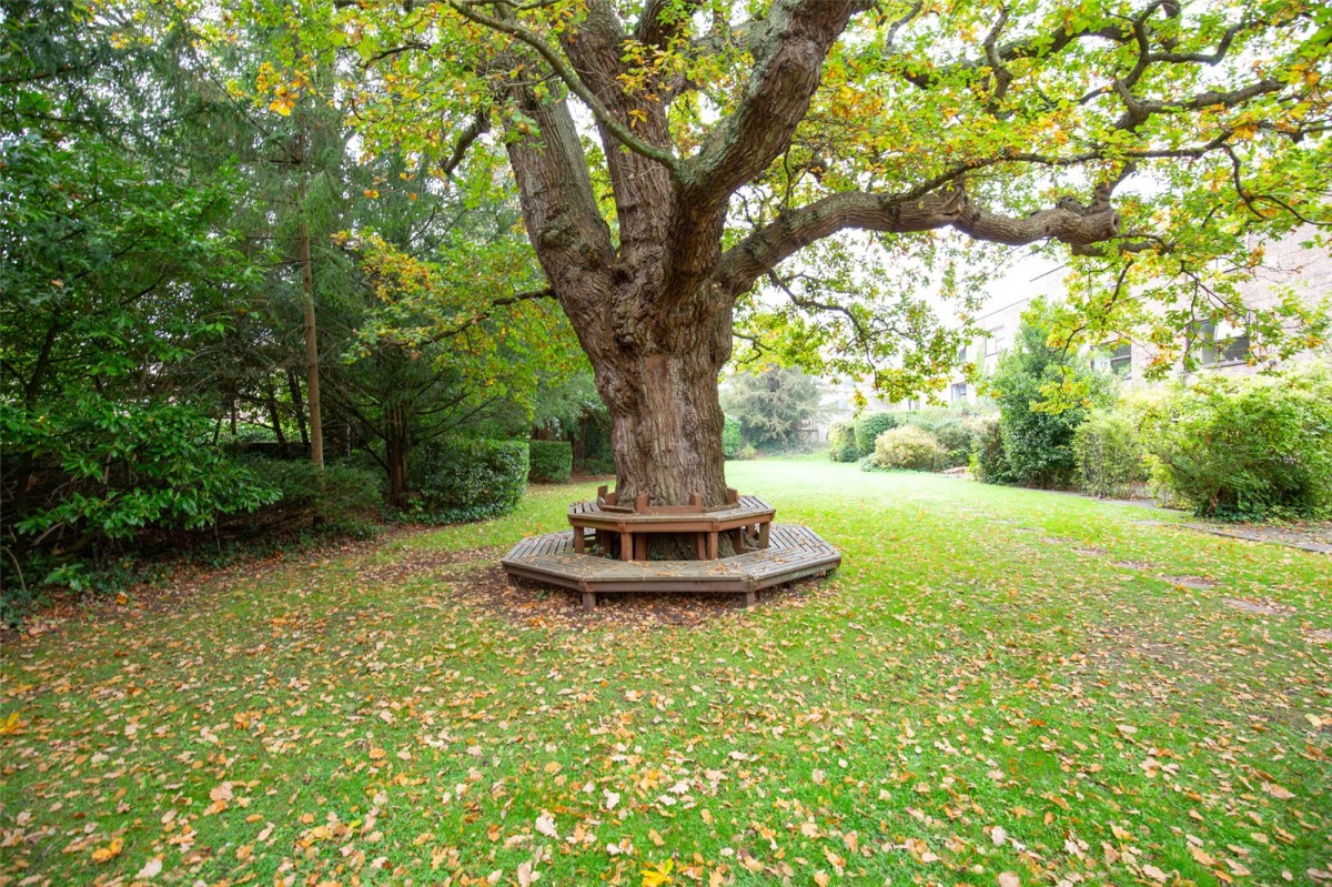 Hazelwood Road, Bristol