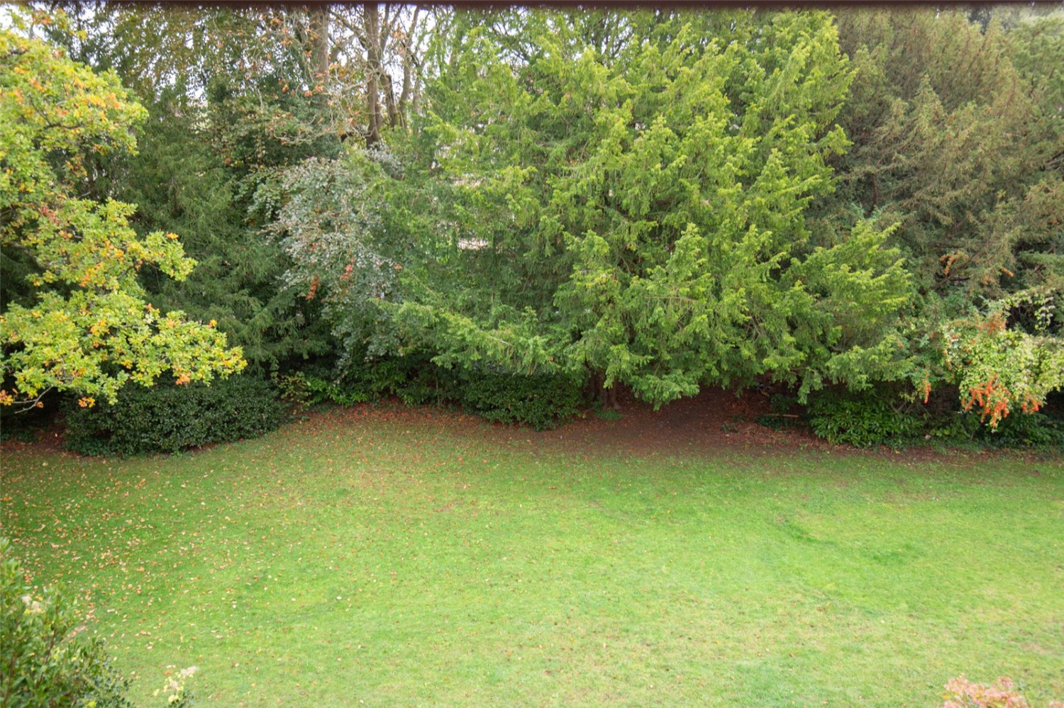 Hazelwood Road, Bristol