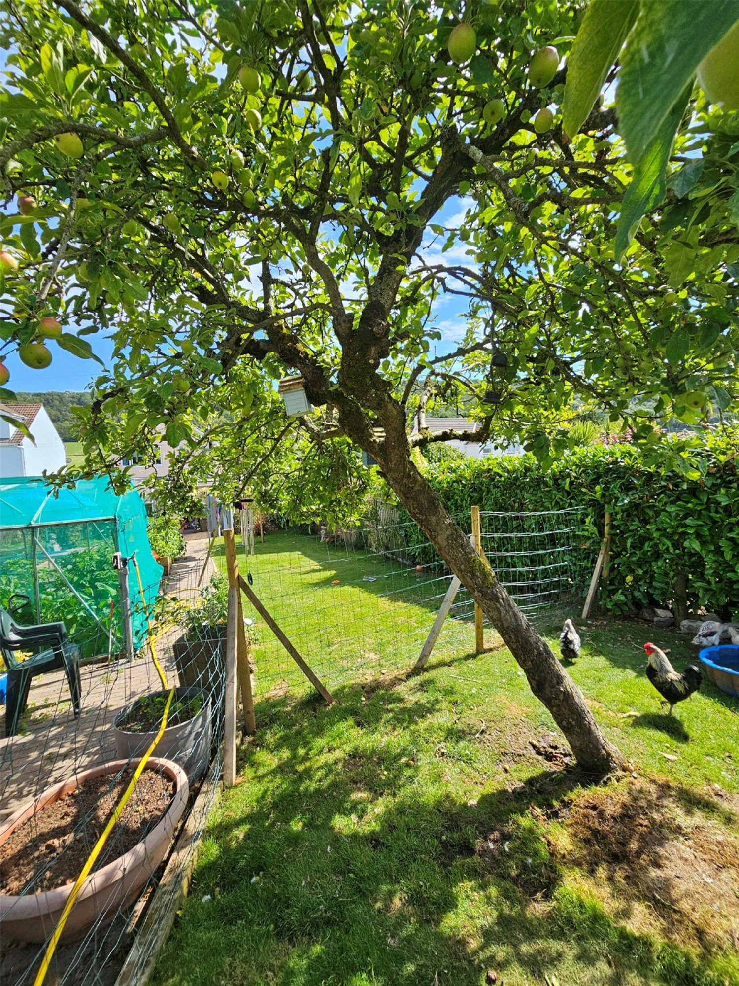 Hutton, Weston-super-Mare, Somerset