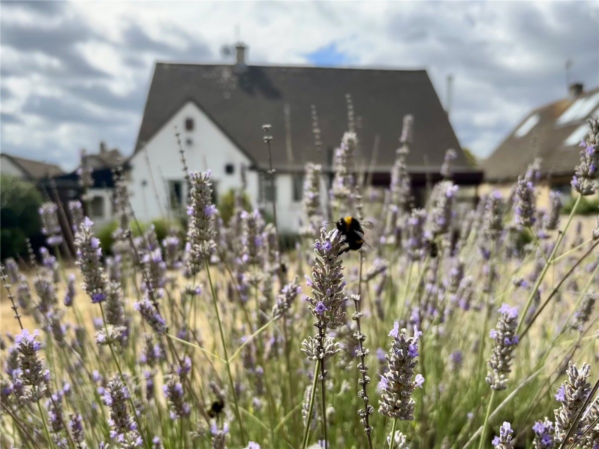 Frenchay, Bristol, Gloucestershire