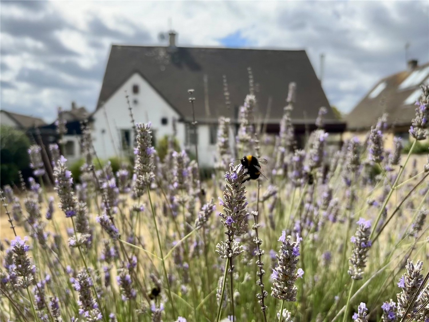 Frenchay, Bristol, Gloucestershire