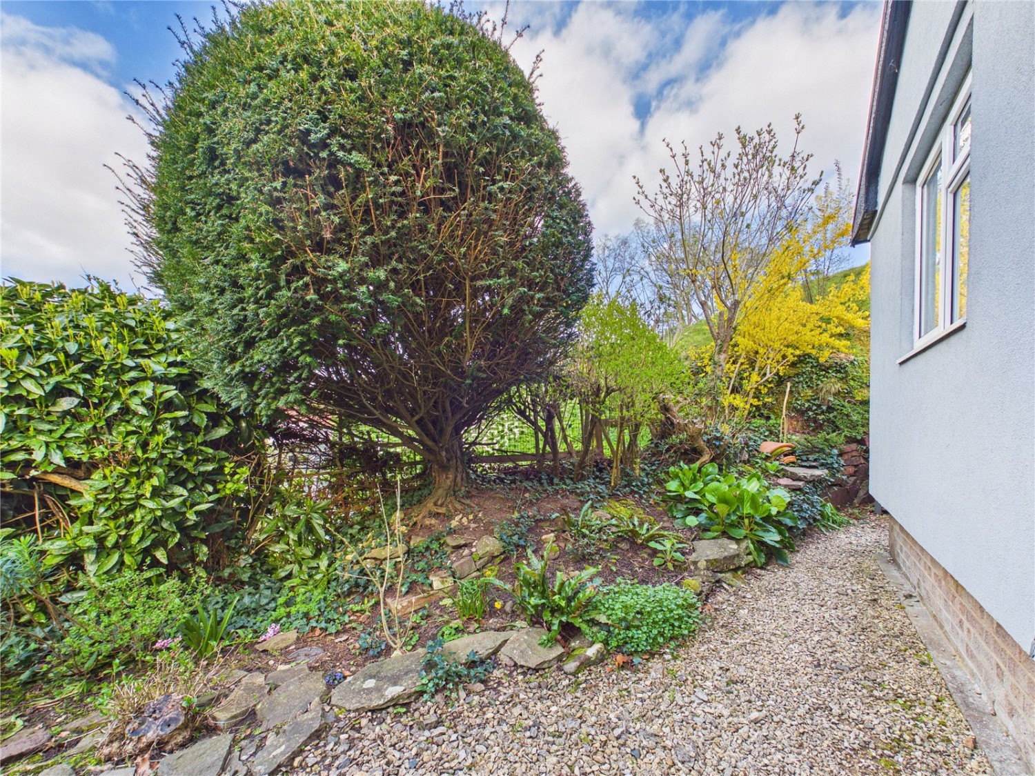 Cleeve Wood Road, Bristol