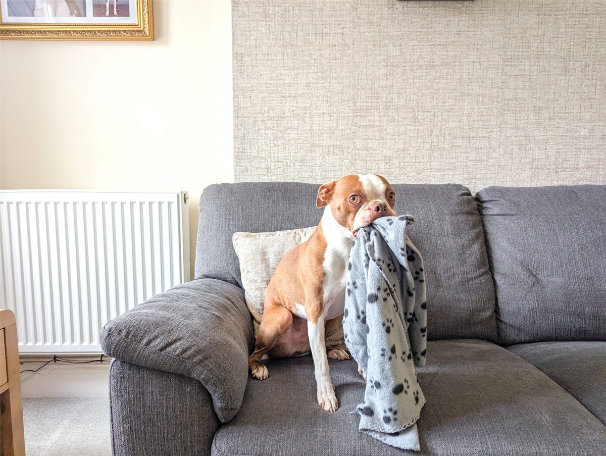 Kingswood, Bristol