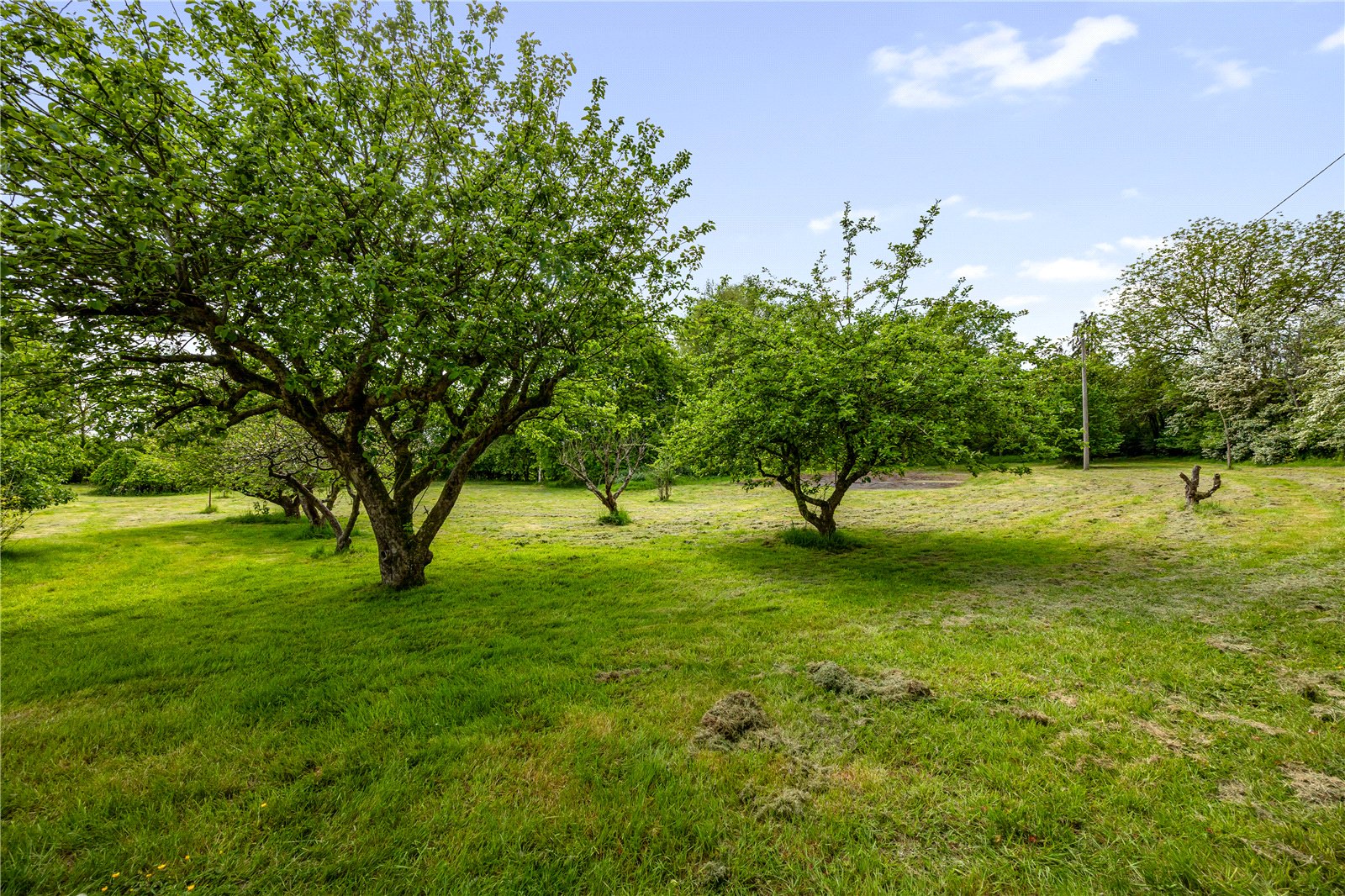 5 bedroom House for sale in Warmley, Bristol