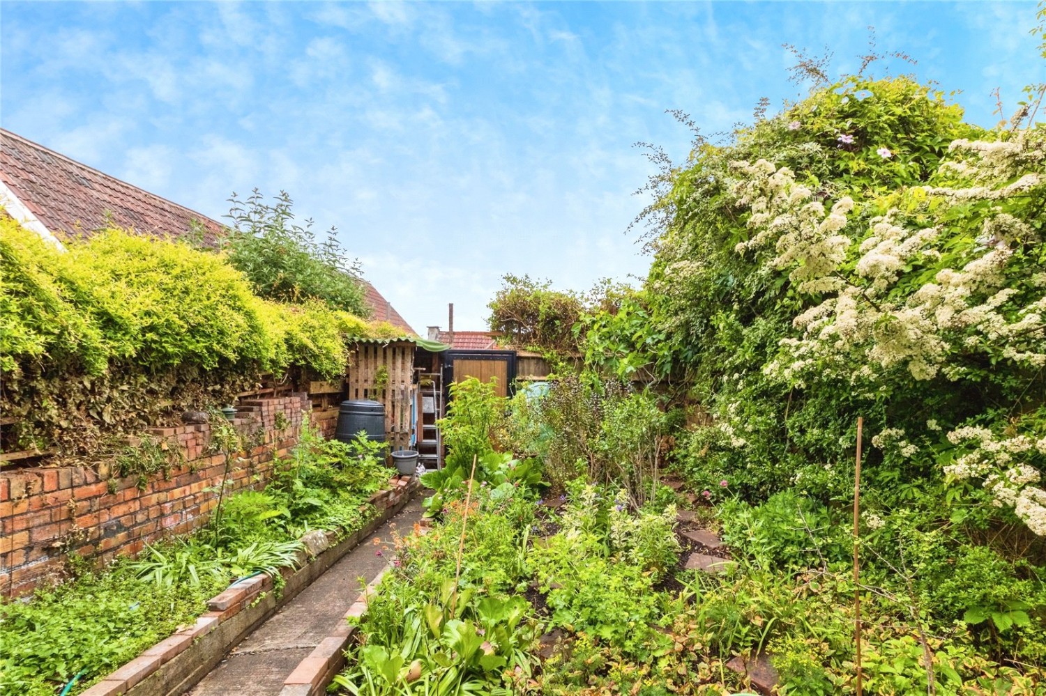 Windmill Hill