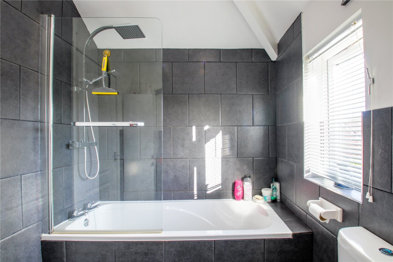 Ashton Vale, BRISTOL