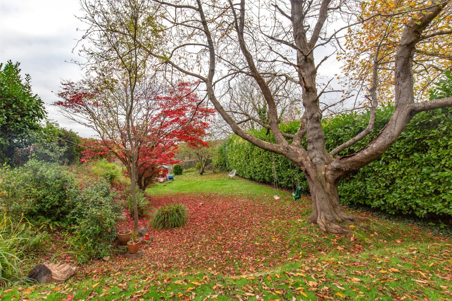 Sneyd Park, Bristol
