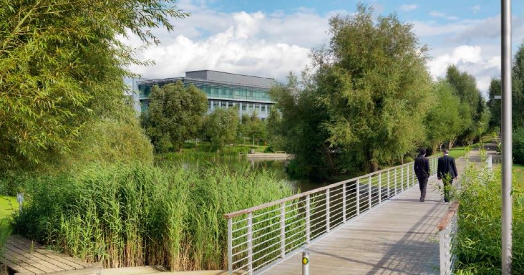 Brook Drive, Reading, RG2 6UU