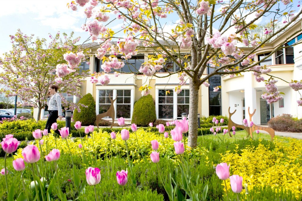 Swallowfield, Reading, RG7 1WY