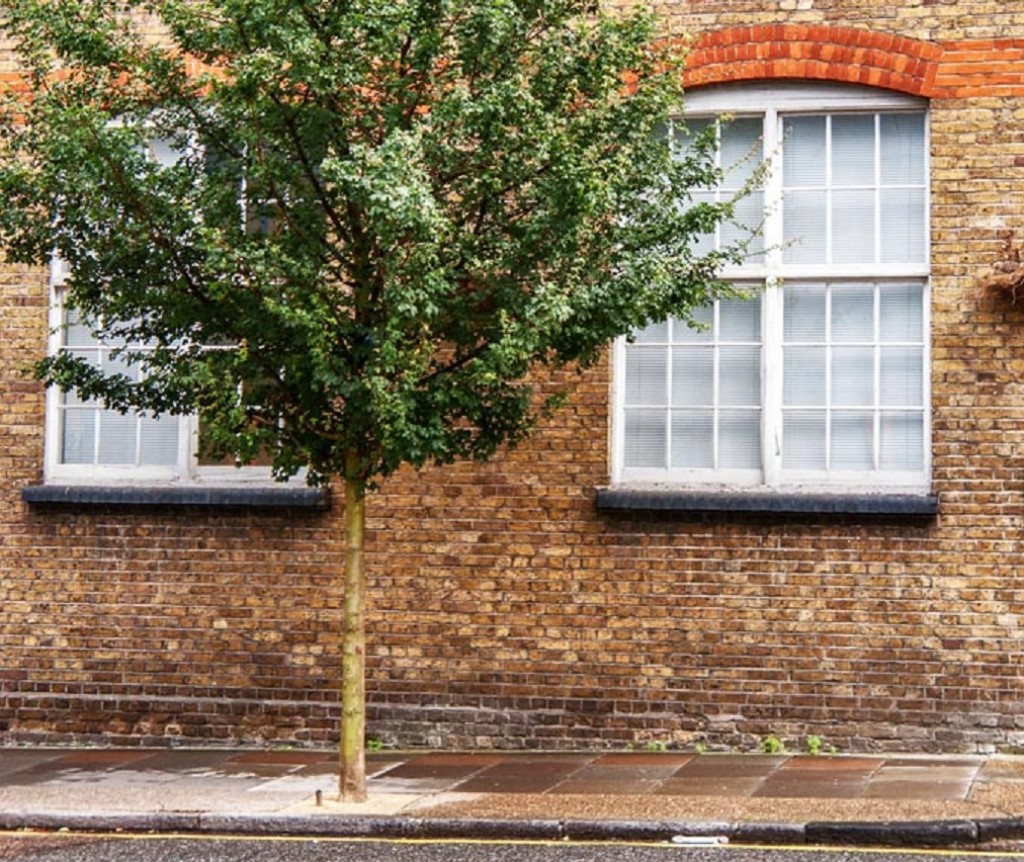 North Road, Holloway, N7 9DP