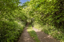Tyley Bottom, Coombe, GL12