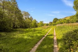 Tyley Bottom, Coombe, GL12