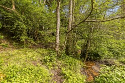 Tyley Bottom, Coombe, GL12