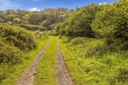 Tyley Bottom, Coombe, GL12