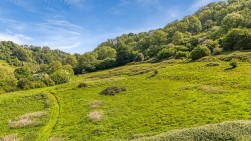 Tyley Bottom, Coombe, GL12