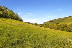 Tyley Bottom, Coombe, GL12