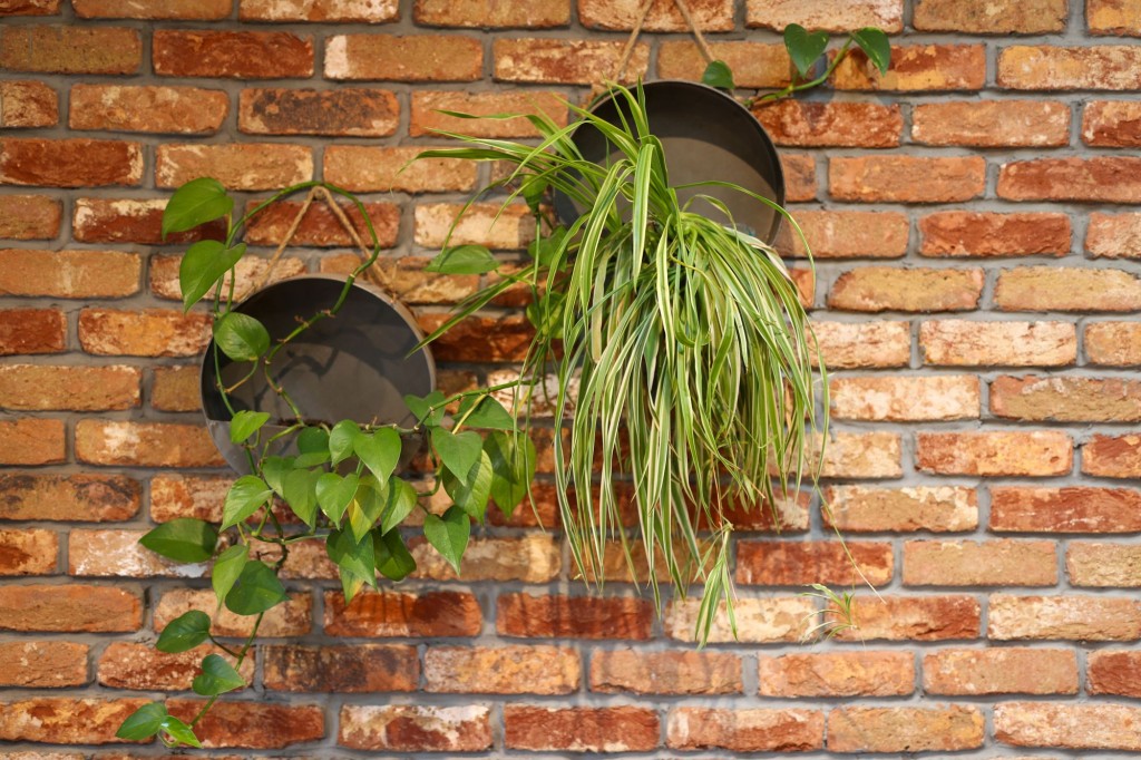 Parkfield Rank, Pucklechurch, BS16