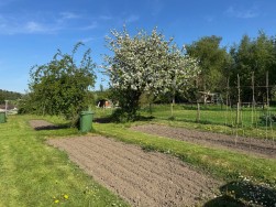 Chapel Lane, Hillesley, GL12