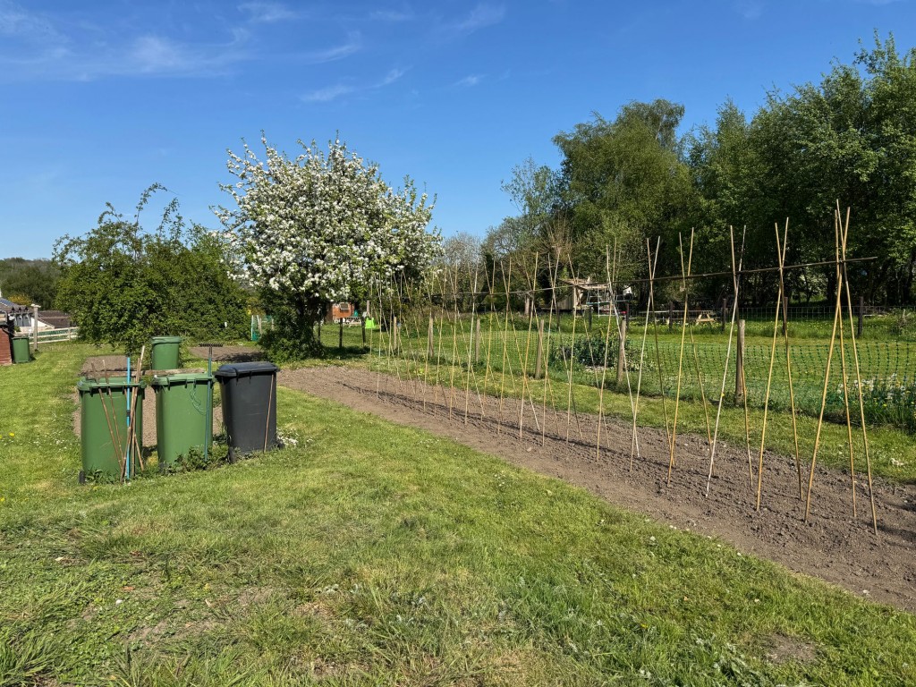 Chapel Lane, Hillesley, GL12