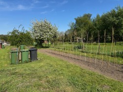 Chapel Lane, Hillesley, GL12