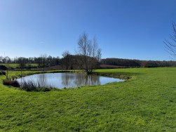 Petty France, Badminton, GL9