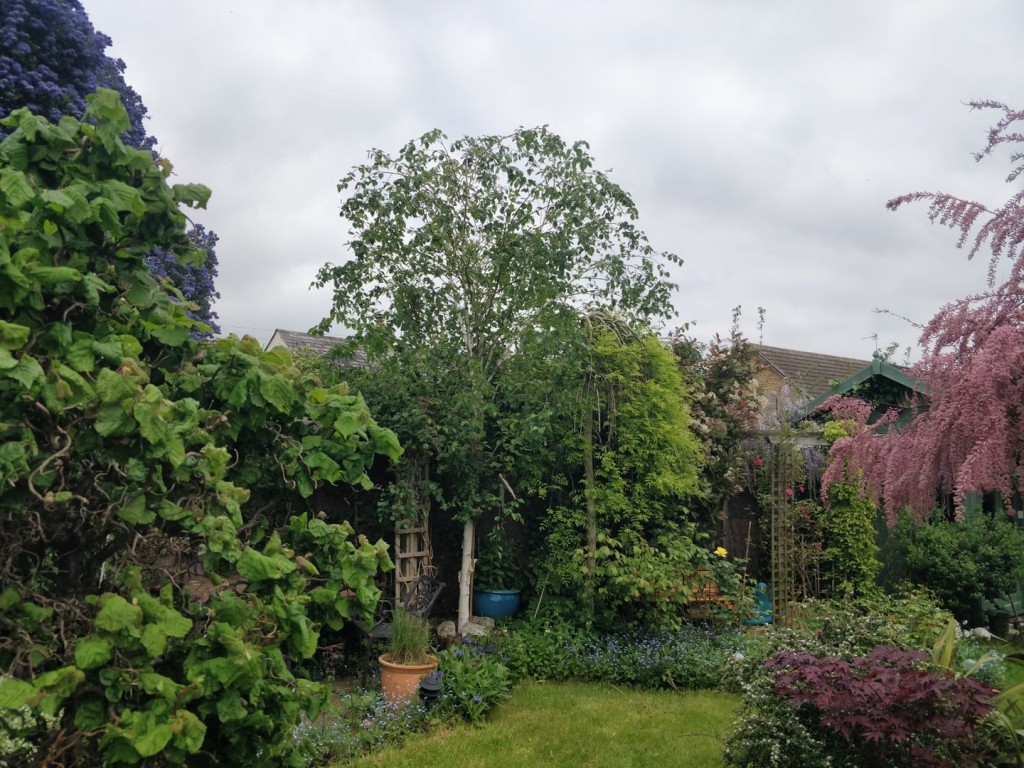 Clifton, Shefford, Bedfordshire