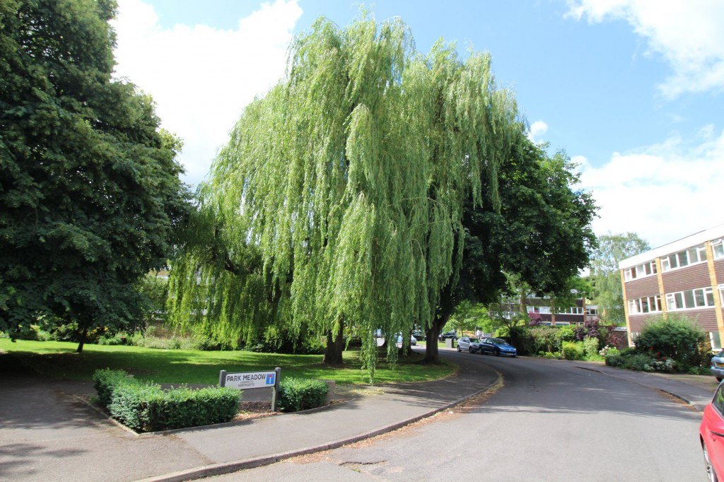 Park Meadow, Hatfield, Hertfordshire