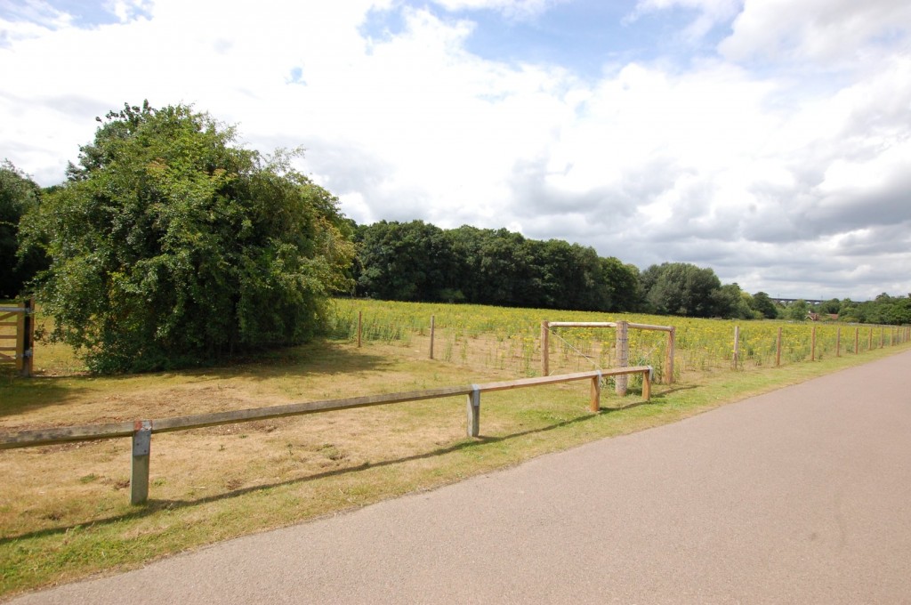 Tewin Water Estate, Digswell, Hertfordshire