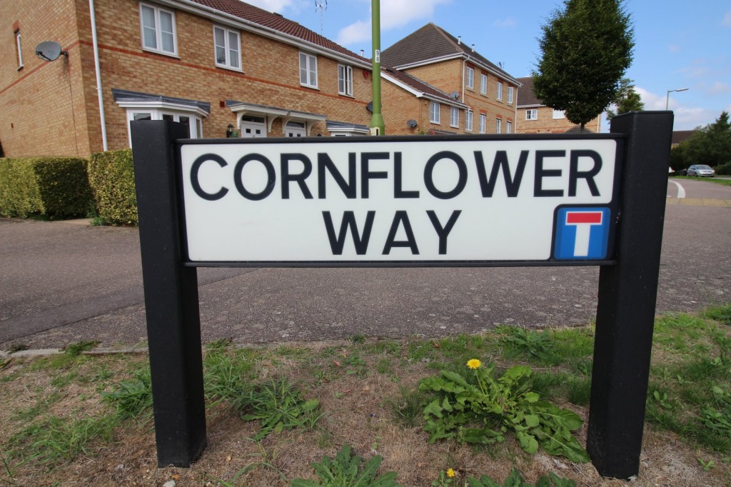 Cornflower Way, Hatfield, Hertfordshire