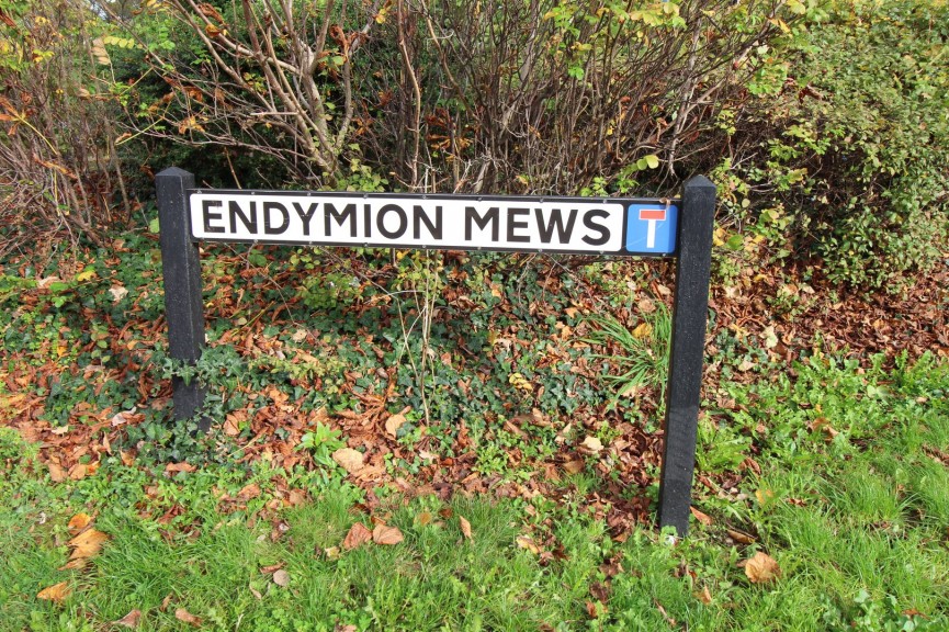 Endymion Mews, Hatfield, Hertfordshire