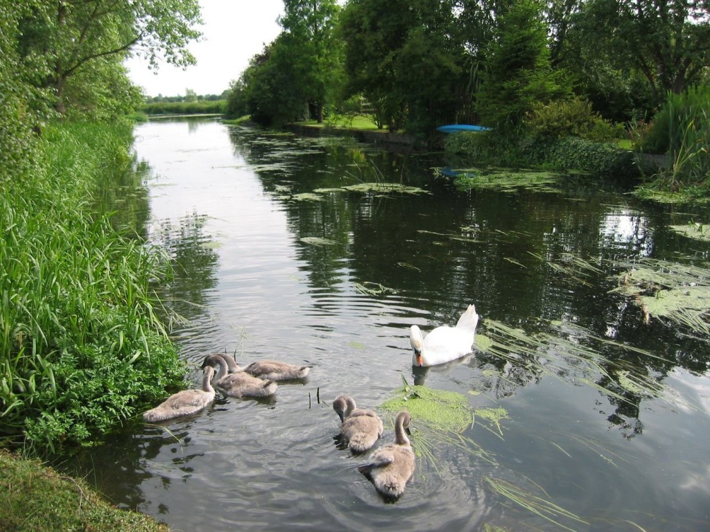 Langford, Bedfordshire