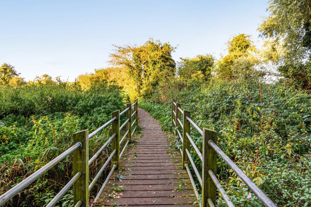 Viking Meadow, Shefford, Bedfordshire