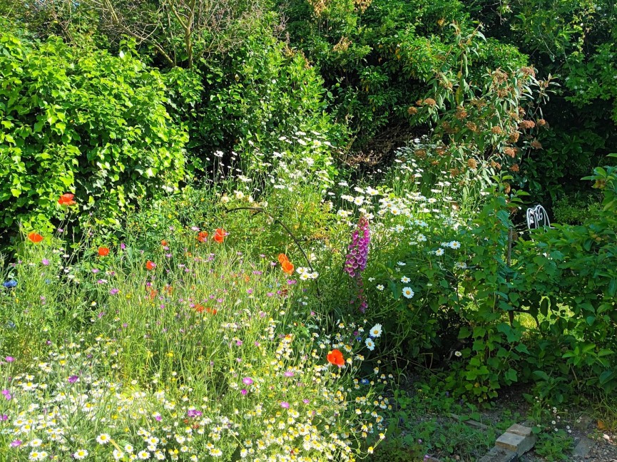 2 bedroom House for Sale Baldock, Ashwell, Hertfordshire