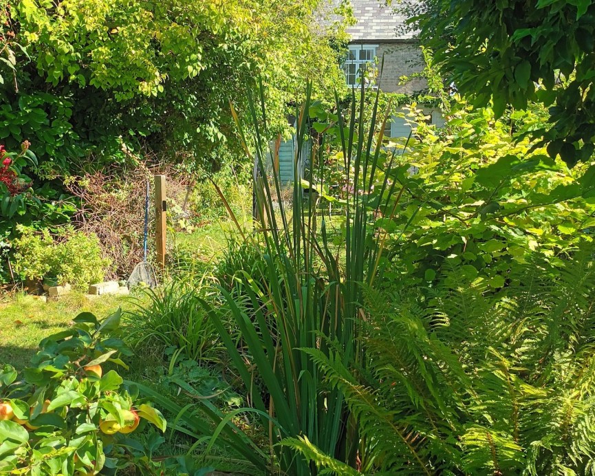 2 bedroom House for Sale Baldock, Ashwell, Hertfordshire