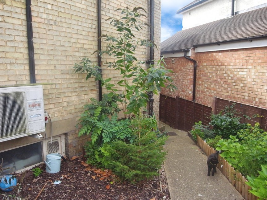 2 bedroom Flat for Letting Stotfold, Bedfordshire