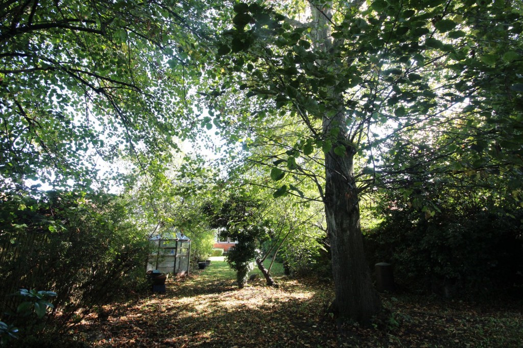 Cowslip Hill, Letchworth Garden City, Hertfordshire