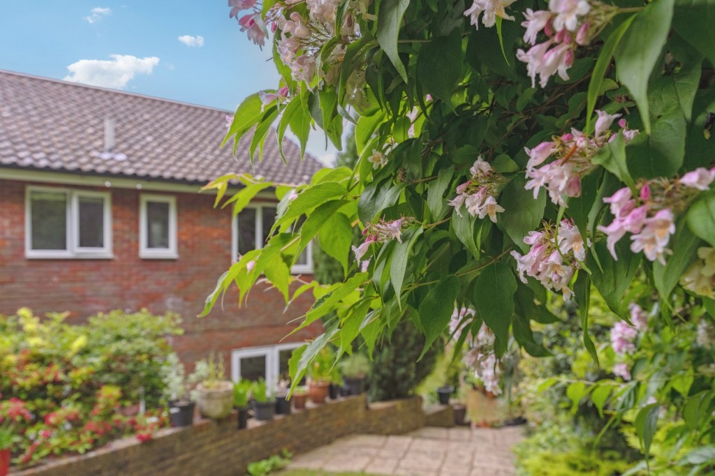 Shrubbery Grove, Royston, Hertfordshire