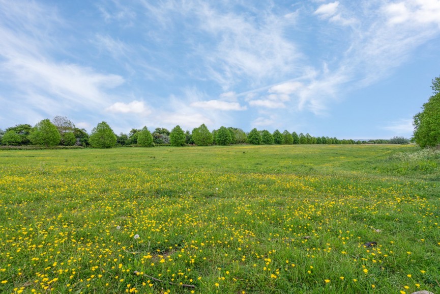 Wimpole, Royston, Cambridgeshire