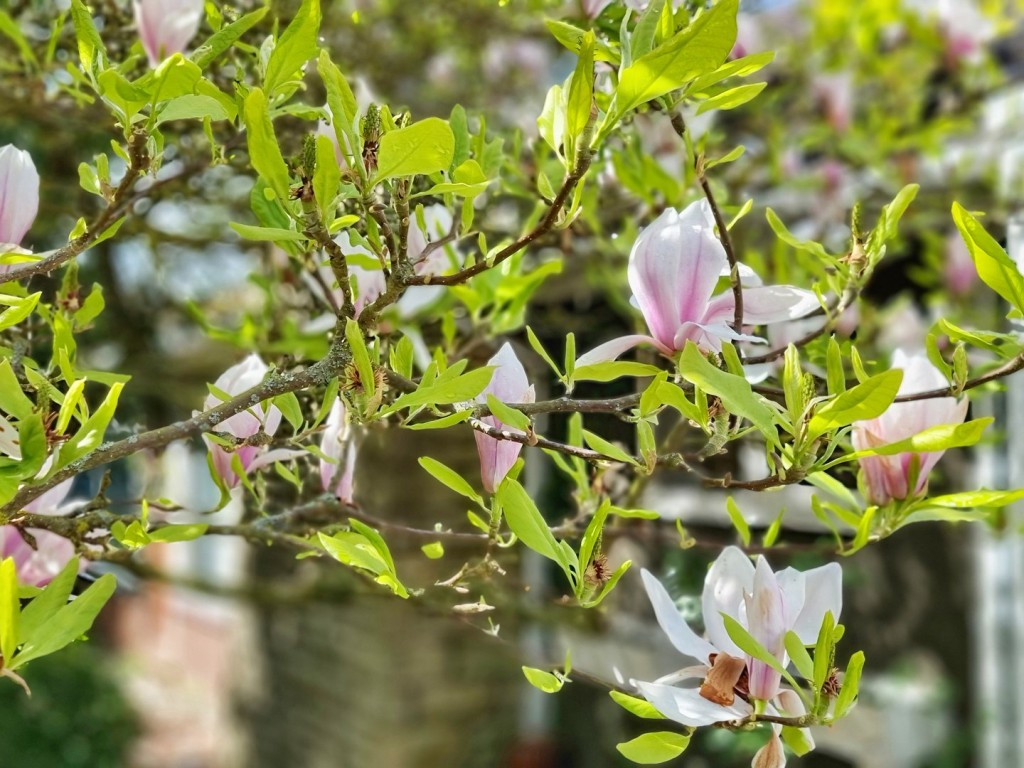 Streatley, Bedfordshire