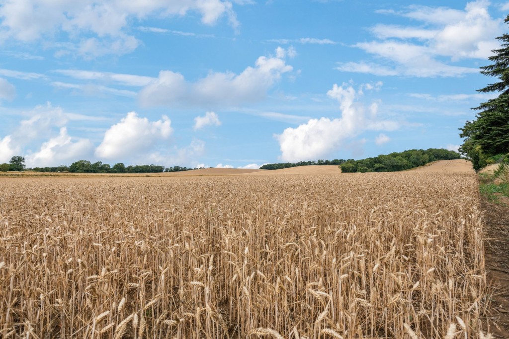 Great Hill, Shefford, Bedfordshire