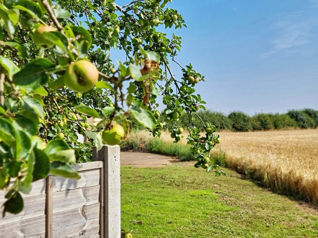 Haynes, Bedfordshire