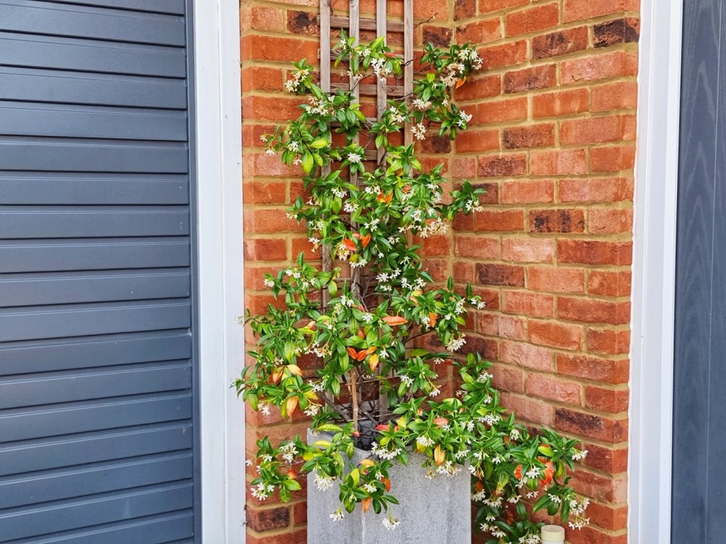 Haynes, Bedfordshire
