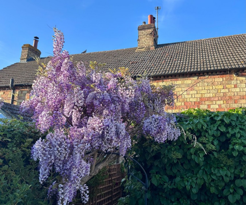 2 bedroom House for Sale Clifton, Shefford, Bedfordshire